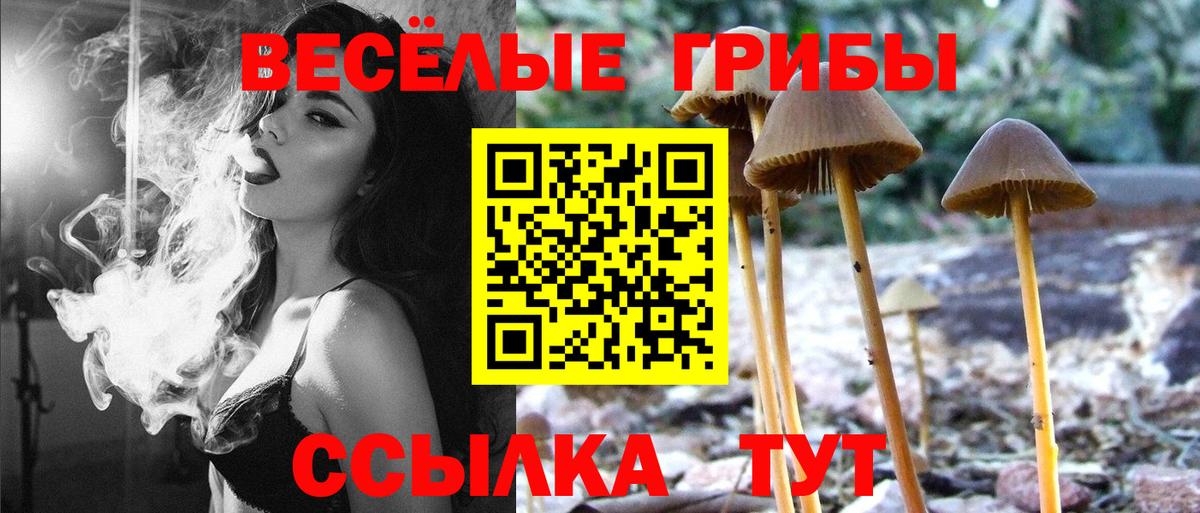 Гашиш Жигулёвск