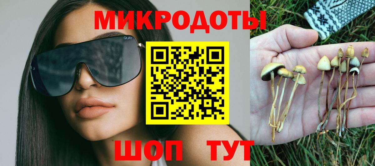 Жигулёвск  Галлюциногенные грибы Magic Shrooms  Галлюциногенные грибы Psilocybine cubensis  Вход с VPN 